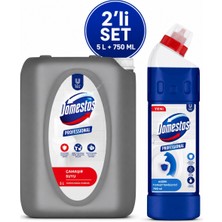 U-Pro Domestos Çamaşır Suyu 5 L + Tuvalet Temizleyici 750 ml 2’li Hijyen Seti