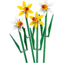 Naturion Nergis Kutlama Hediyesi 40747