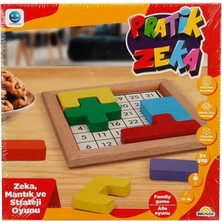 Naturion Pratik Zeka Oyunu