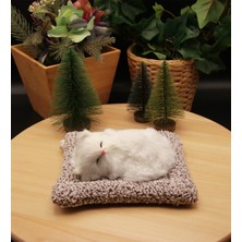Minderde Uyuyan Sesli Peluş Kedi Cat  Küçük Boy 17CMX14CM - Beyaz Kedi