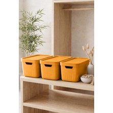 Kitchen Life Aura 3'lü Çok Amaçlı Kapaklı Saklama Kabı Dolap Düzenleyici Kutu-Oyuncak Saklama Kutusu 17 Litre