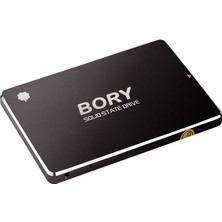 Erdo Ticaret 128 GB Bory Sata3 R500-C128G SSD 550/510 Mbs (3 Yıl Garantili)