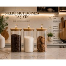 Morponi 3'lü  Borosilikat Cam Bambu Kristal Şeffaf Kapaklı Kavanoz Seti 1900 ml Alk
