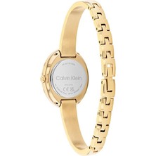 Calvin Klein CK25100203 Kadın Kol Saati