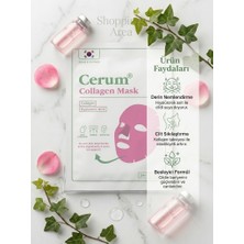 Shopping Area Kore Formüllü Kolajen & Hyaluronik Asitli Yoğun Nemlendirici Yüz Maskesi 34 ml