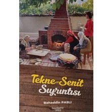 Kişisel Yayınlar Tekne-Senit Sıyrıntısı - Bahaddin Paslı - 2.el Kitap
