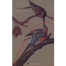 Kişisel Yayınlar Aşkınlık Dersleri - Mustafa Yıldız - 2.el Kitap