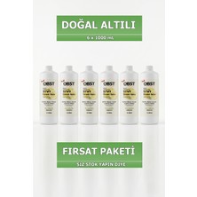 OBST Sıvı Limon Tuzu Mutfak Banyo Tuvalet Için Doğal Temizlik 6'lı Paket Fırsat Paketi (6 x 1 L)