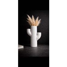 Kena Company Modern Kaktüs Tasarımlı Dekoratif Vazo Minimal Masa Dekoru