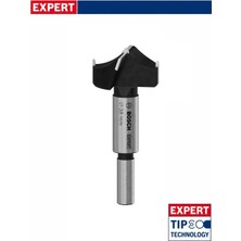 Bosch Expert 38 mm Lamine Ahşap Menteşe Delme Ucu 2608901859