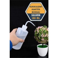 Svoria Store Mey Ithalat® Sukkulent Kaktüs Bonsai Sulama Şişesi