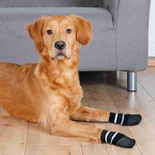 Cosmotex Trixie Köpek Çorabı Kaymaz L-Xl 2 Adet Siyah