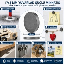 Uslucan Alışveriş Mıknatıs 17X3 mm Yuvarlak Güçlü Mıknatıs Disk Mıknatıs