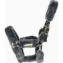 Kentucky Horsewear Kuzu Postlu Transport At Halteri