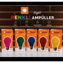 Osaka Light 10'lu 10W 5 Farkli Renk Her Renkten 2 Şer Adet E27 Duylu A60 E Enerji LED Ampul Ebatı 113X60MM