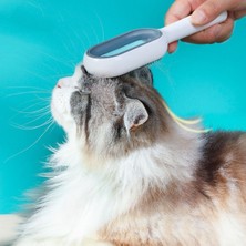 Ozcmax Evcill Hayvanlar Için Çift Taraflı Pet Fırçası Nemli Tüy Tarama Tarağı