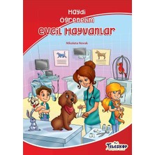Lisinya Evcil Hayvanlar - Haydi Öğrenelim