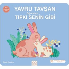 Lisinya Yavru Tavşan Öğreniyor Tıpkı Senin Gibi