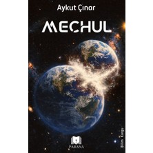 Lisinya Meçhul