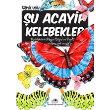 Lisinya Şu Acayip Kelebekler