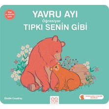 Lisinya Yavru Ayı Öğreniyor Tıpkı Senin Gibi