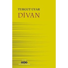 Lisinya Divan