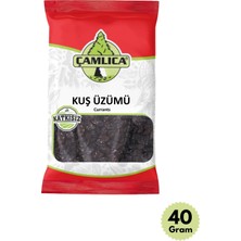 Çamlıca Kuş Üzümü 40 Gr.