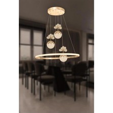 3+1 Çember Şeker Toplu Rose Gold LED Modern Sarkıt Avize