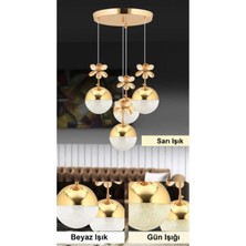 4'lü Şeker Toplu Rose Gold Kristal Taşlı 3 Renk Ledli Sarkıt Avize