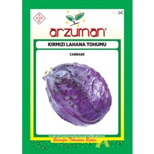Arzuman Mor Kırmızı Lahana Tohumu 10 gr Yüksek Verim ve Kalite ile Salata İçin İdeal
