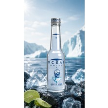 Ocean Drive Arctic Lime (Ice) Doğal Mineralli Gazlı Içecek 6X250 ml