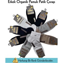 Çamaşır Kenti Mısırlı 60210 Erkek Organik Pamuk Patik Çorap