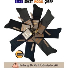 Çamaşır Kenti Mısırlı 62900 Erkek Organik Modal Soket Çorap