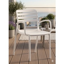 Novussi Notte Koltuk 6'lı Paket