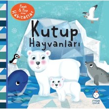 Renas Store Kutup Hayvanları