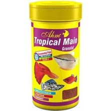 Küçük Hazine Tropical Main Granulat 100 ml
