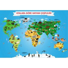 Prime Concept Kıtalara Göre Hayvan Çeşitliliği Afişi (Vinil) 70X100 cm