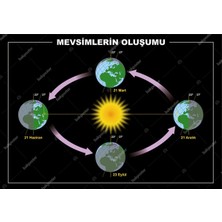 Prime Concept Mevsimlerin Oluşumu 50X70 cm - Vinil ( Branda )