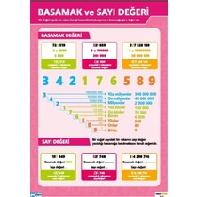 Prime Concept Basamak ve Sayı Değeri Afişi (Vinil) 50X70 cm