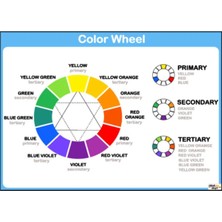Prime Concept Ingilizce Color Wheel Afişi (Vinil) 50X70 cm