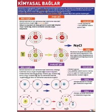 Prime Concept Kimyasal Bağlar Afişi (Vinil) 70X100 cm