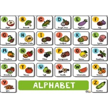 Prime Concept Ingilizce Alfabe (Alphabet) Afişi 2 (Vinil) 50X70 cm