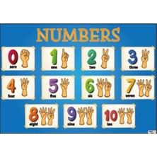 Prime Concept Ingilizce Numbers Afişi 2 (Vinil) 50X70 cm