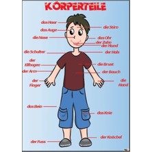 Prime Concept Die Körperteile (Vinil) 50X70 cm