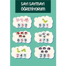 Prime Concept Sayı Saymayı Öğreniyorum Afişi