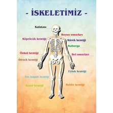 Prime Concept Iskeletimiz Afişi
