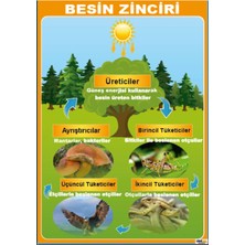 Prime Concept Besin Zinciri Afişi (Vinil) 70X100 cm