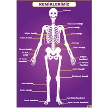 Prime Concept Kemiklerimiz Posteri (Vinil) 70X100 cm