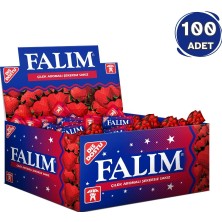 Falım Çilek Aromalı Sakız (100 x 1,4g - 1 Adet)