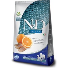 N&D Nd Ocean R.Balığı Adult Med&Maxi Tahılsız Köpek Maması - 2.5 Kg